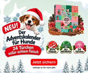 Fidelis – Adventskalender für Hunde mit echtem Fleisch